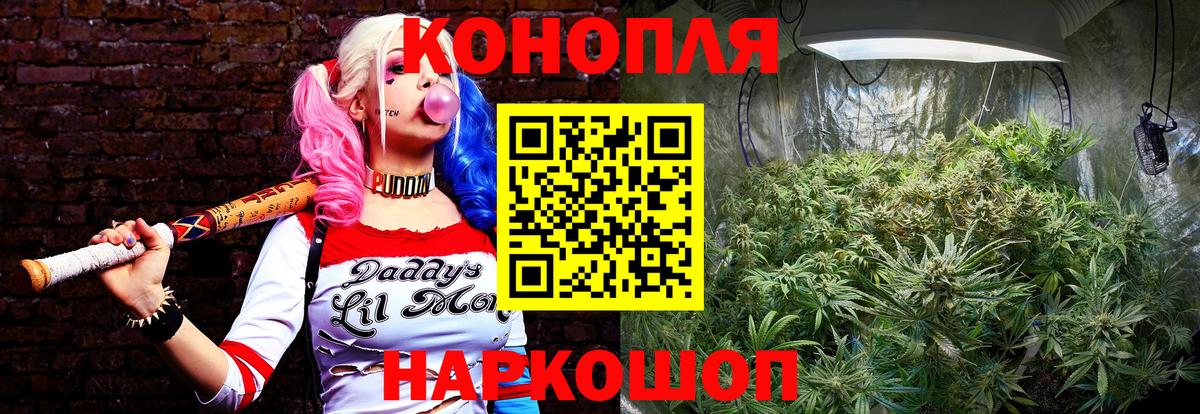 Каннабис сатива  Вход с VPN  Октябрьский  Бошки марихуана Bruce Banner 